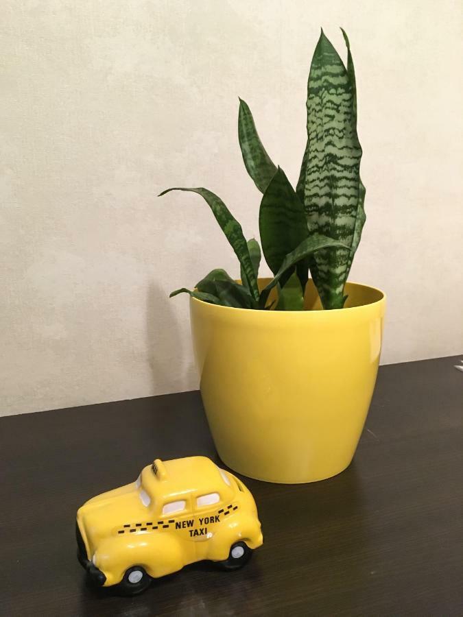 Sunflower Apartment Near Kiev Airport & Railway Station & Center City! Ngoại thất bức ảnh